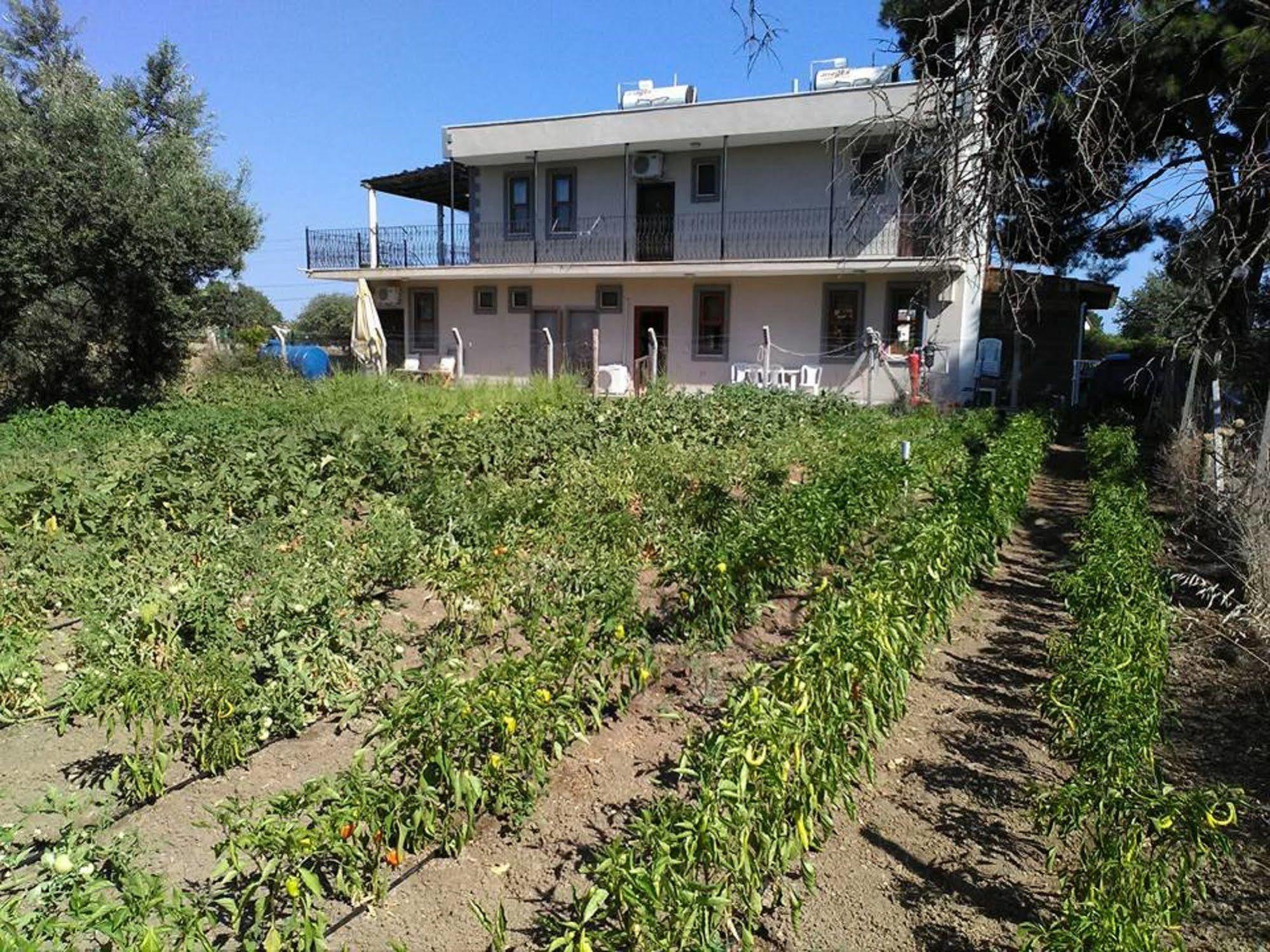 Geyikli Herrara Extérieur photo